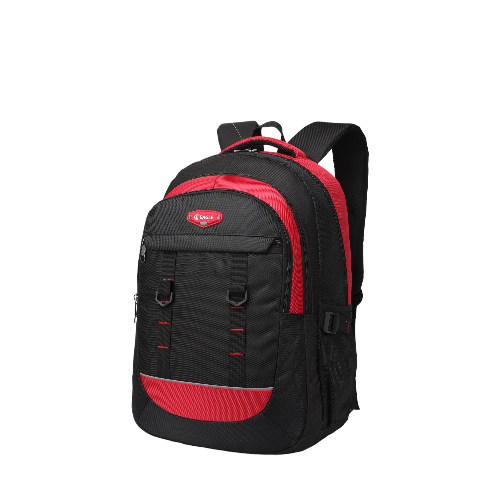Eagle Modern Canvas Backpack