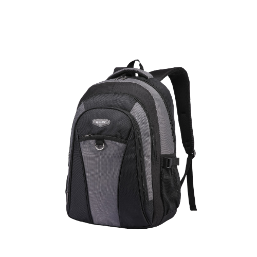Eagle Versatile Laptop Backpack
